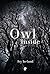 The Owl Inside