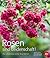Rosen sind Leidenschaft!: D...