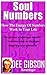 Soul Numbers: The Easy Way ...