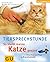 So bleibt meine Katze gesund