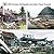 2004 Sumatra Earthquake and...