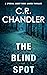 The Blind Spot (Special Agent Ricki James Book 9)