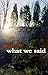 What We Said by Sue Chenette