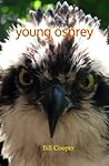 Young Osprey: Haiku of Bill Cooper