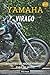 YAMAHA VIRAGO: REGISTRO DE ...