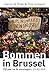 Bommen in Brussel (Dutch Edition)