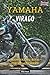 YAMAHA VIRAGO: MAINTENANCE ...
