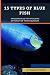15 Types of Blue Fish: Awes...