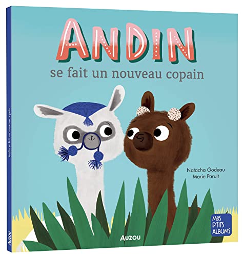 Andin se fait un nouveau copain NED (Paperback)