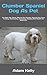 Clumber Spaniel Dog As Pet:...