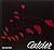 Calder. Scultore dell'aria. Catalogo della mostra by Alexander S.C. Rower