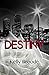 Destiny (A Carras Enterprise Novel)