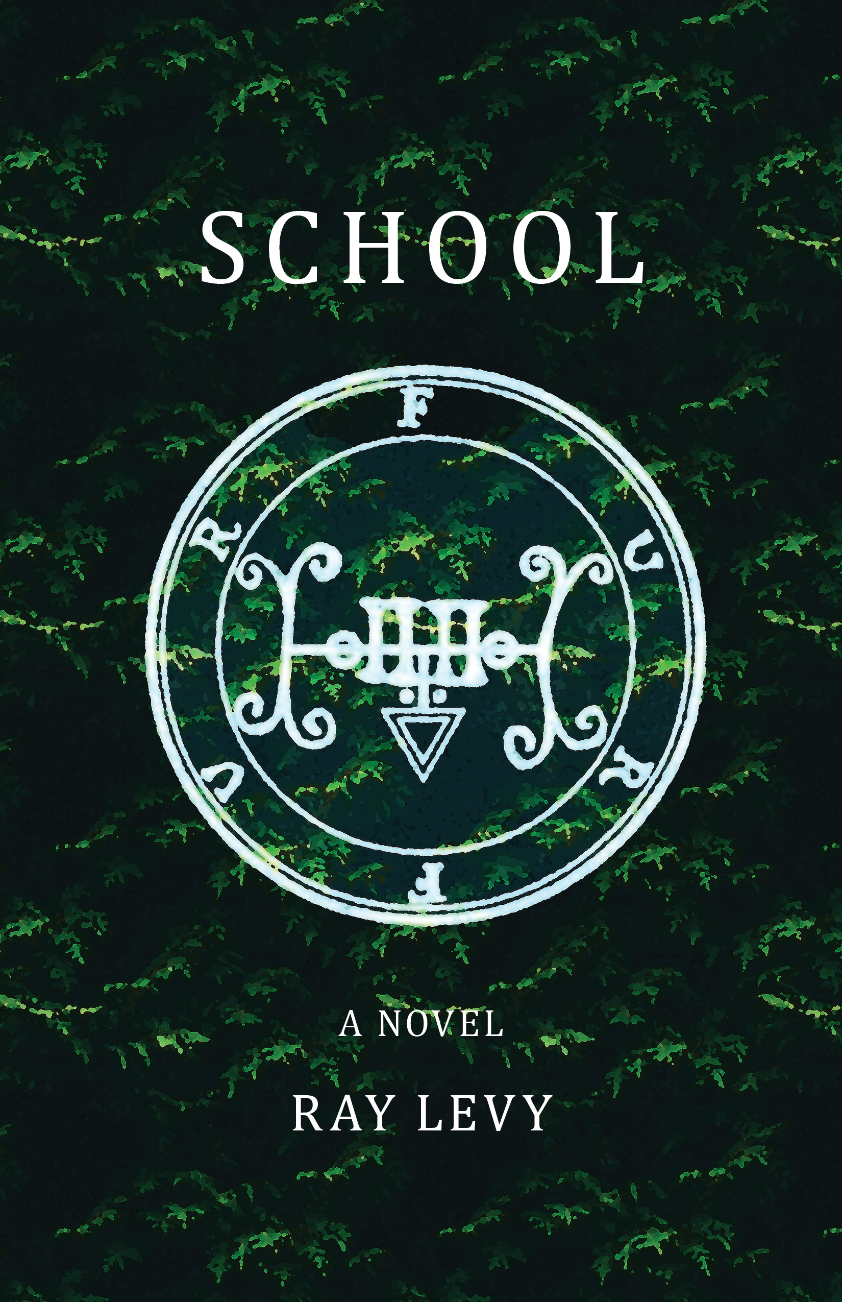 School: A Novel