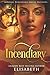 Incendiary: A Dark Romance (Reincarnation Series)