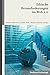 Ethische Herausforderungen Im Web 2.0 (Sozialethik Konkret) by Judith Wolf