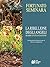 La Ribellione degli Angeli by Fortunato Seminara
