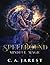 Spellbound: Mindful Magic