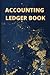 Accounting Ledger Book and ...