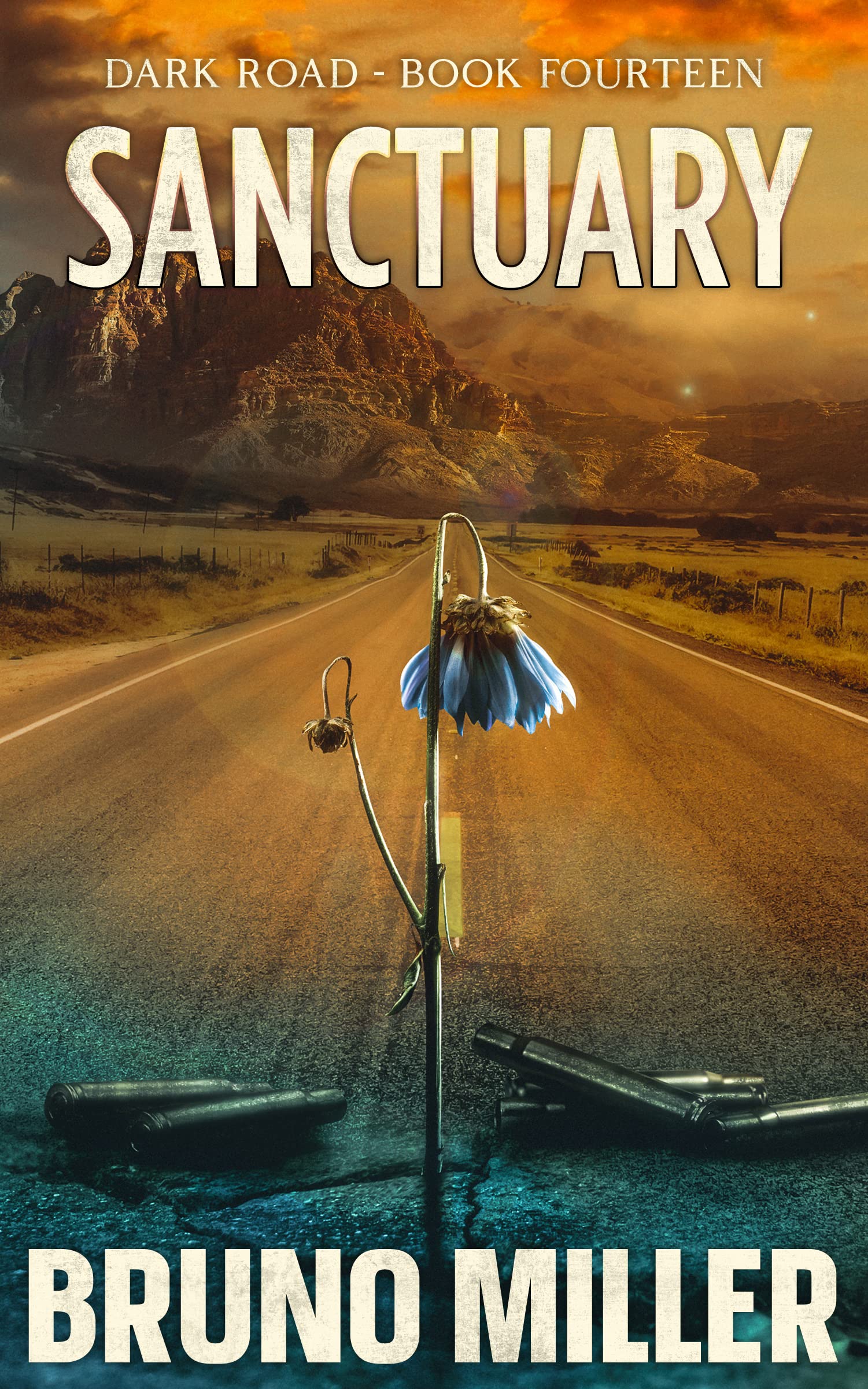Sanctuary: A Post-Apocalyptic EMP Survival series (Dark Road Book 14)
