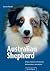 Australian Shepherd: Schön, charmant und vielseitig