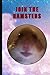 STARING HAMSTER CULT MEME (...