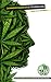 Learn Sativa Transcript & T...