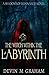The Witch Within the Labyri...