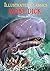 Illustrated Classics - Moby Dick: Abridged Novels With Review Questions