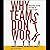 Why Teams Don't Work: What ...