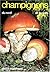 Champignons du nord et du midi