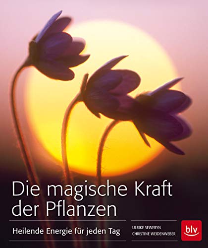 Die magische Kraft der Pflanzen (Hardcover)