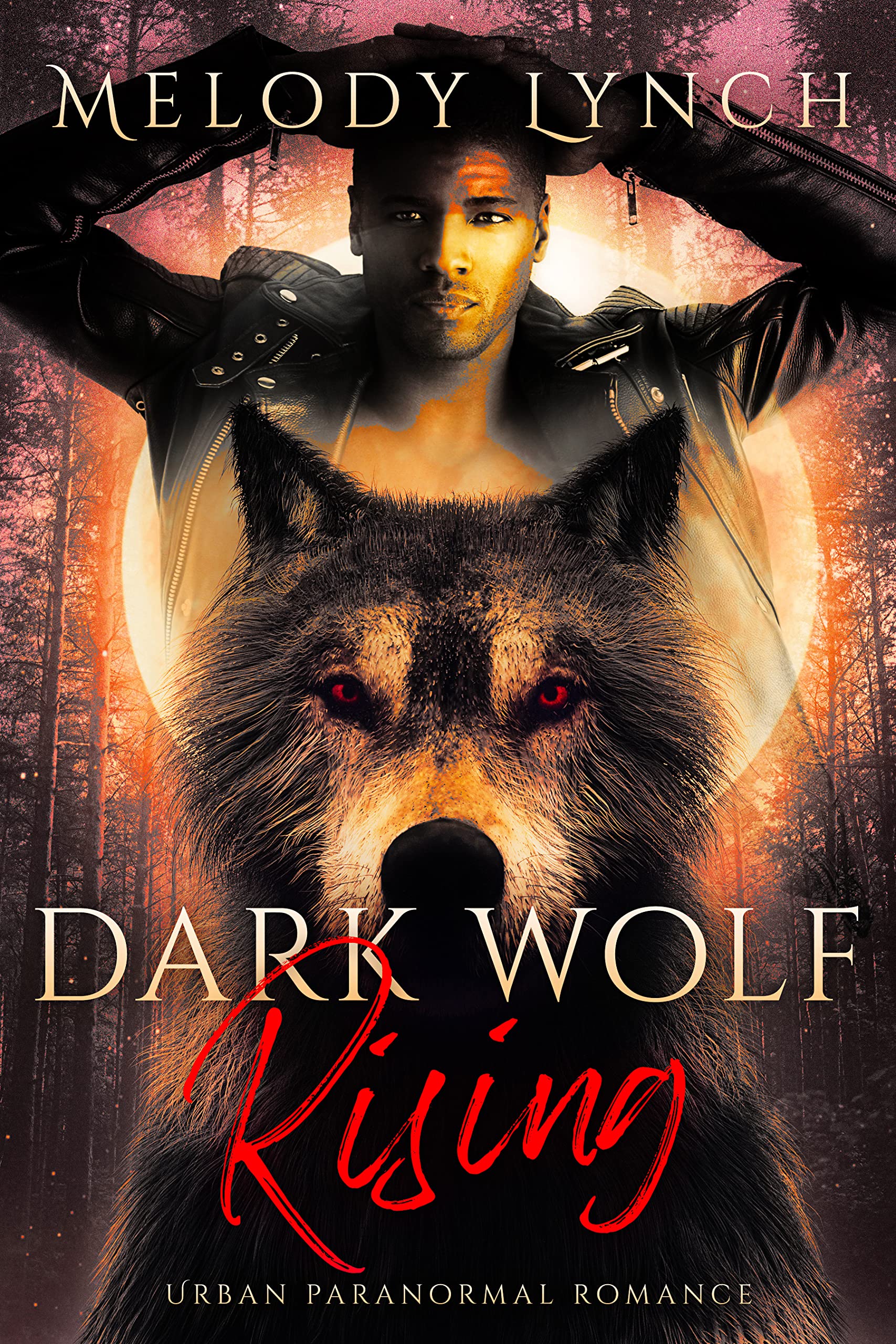 Dark Wolf Rising (African American Urban Shifters #4)