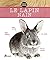 Lapin nain
