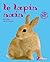 le lapin nain