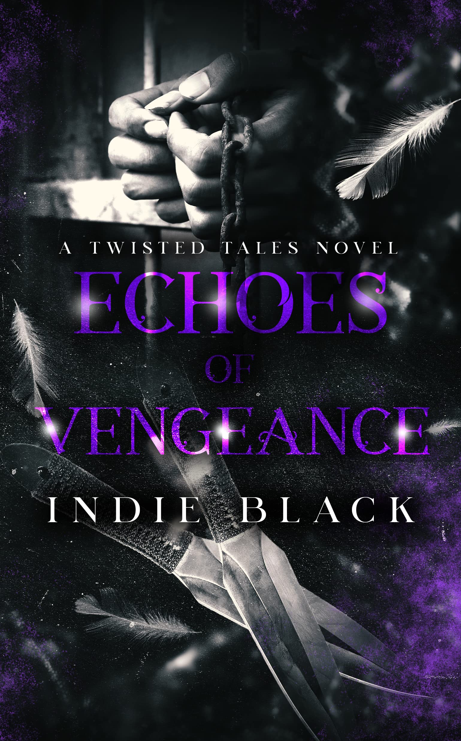 Echoes of Vengeance (Twisted Tales Duet, #2)