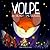 Volpe and the night-time treasures by Maria Francesca Agnelli