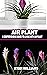 AIR PLANT: A Comprehensive ...