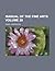 Manual of the Fine Arts Vol...