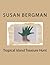 Tropical Island Treasure Hunt by Susan Bergman