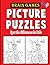 brain games picture puzzles...