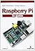 Raspberry Pi. La guida