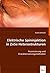 Elektrische Spininjektion in ZnSe Heterostrukturen by Frank Lehmann