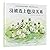 Bertha and the Frog Choir (Chinese Edition)