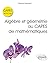 Algèbre et géométrie au CAPES de mathématiques - Écrit et oral by Pascal Honvault
