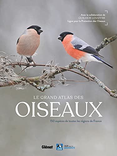 Le grand Atlas des oiseaux: 150 oiseaux des régions de France (Paperback)