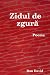 Zidul de zgură