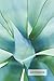 Nature Notebook: Nature Jou...