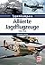 Alliierte Jagdflugzeuge: 19...