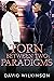 Torn Between Two Paradigms ...