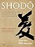 Shodo: l'art paisible de la calligraphie zen japonaise